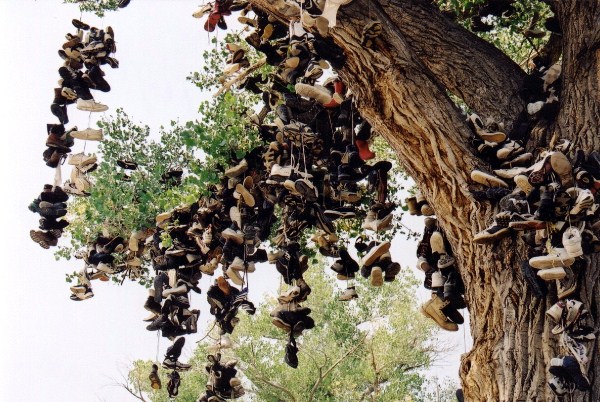 08SHOE TREE.jpg