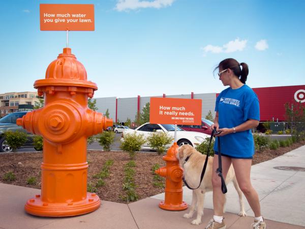 denver-water-water-hydrants-small-93283.jpg