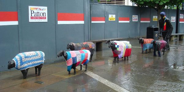 sheep knit waterfront 1.jpg