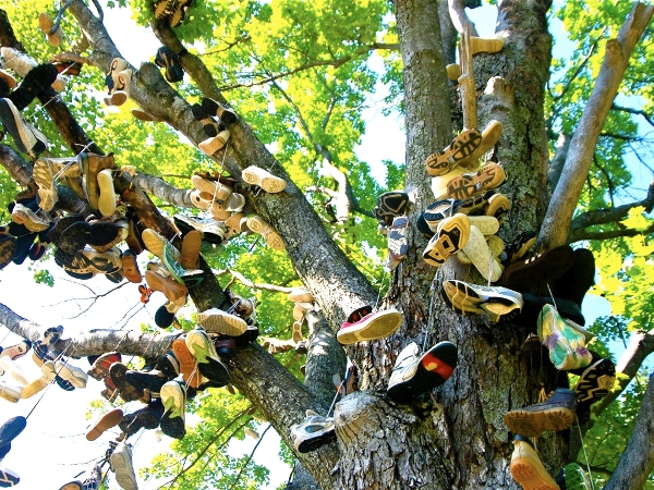 shoetree-003.jpg