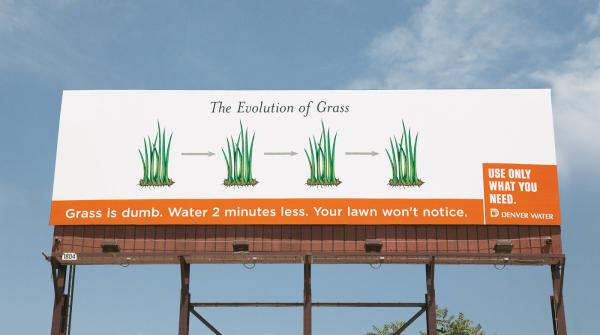 water-saving-message-grass-evolution-small-85663.jpg