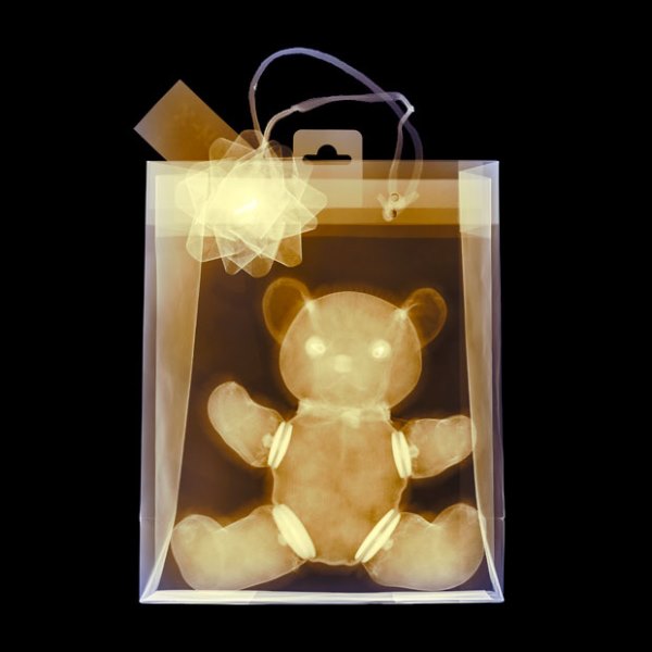 xray-xmas-teddy-be_2421352k.jpg