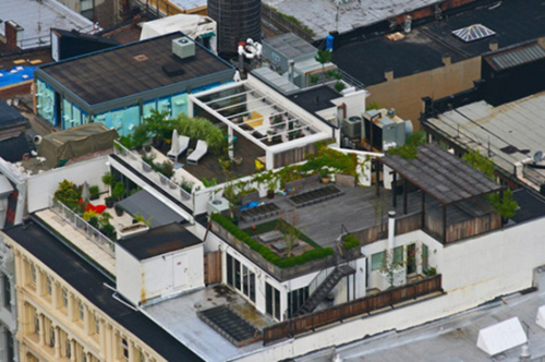 New-York-Rooftop-Gardens-6.jpg