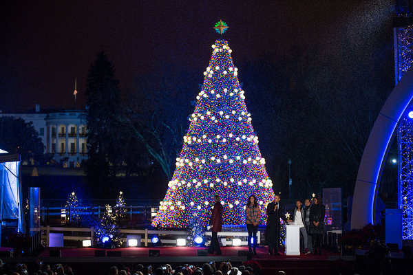 National-Christmas-tree-in-Washington-D.C..jpg