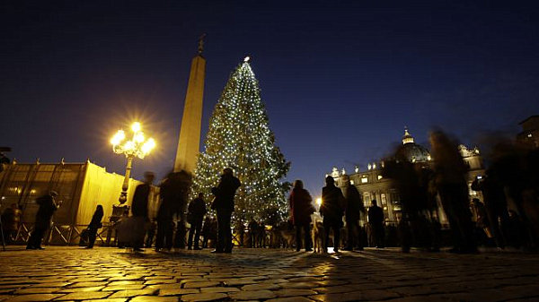 Vatican-City-Christmas-tree.jpg