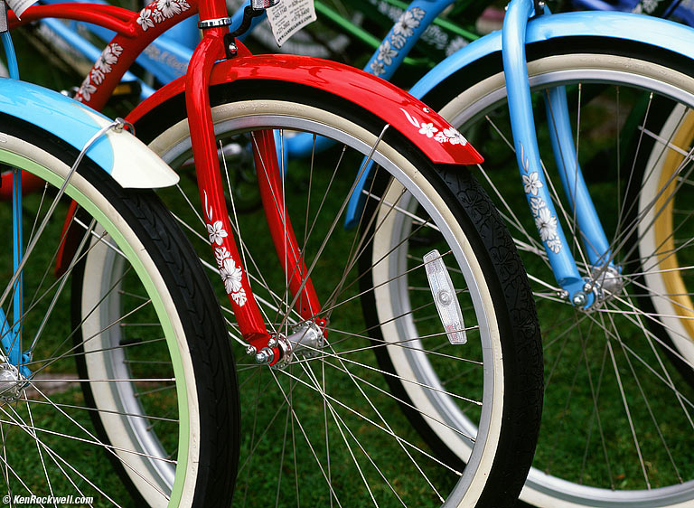 48860016-bikes.jpg