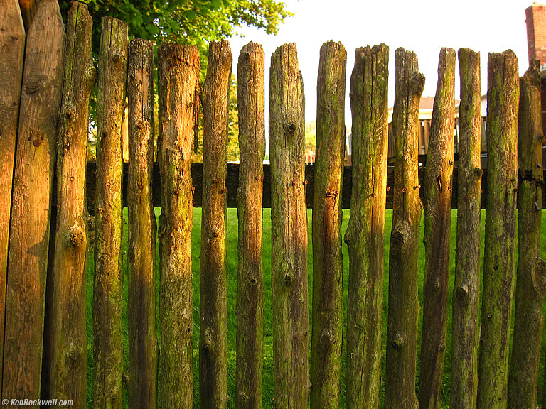 IMG_0302-fence.jpg
