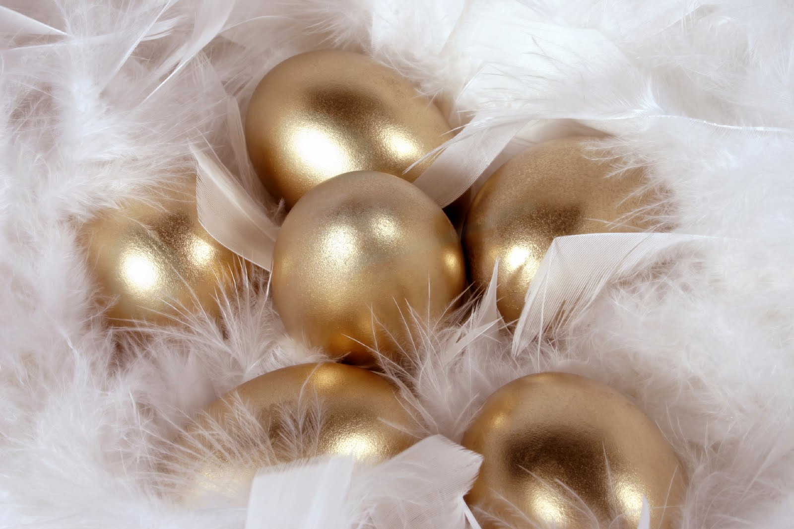 golden-eggs-feathers.jpg