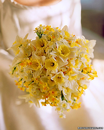 daffodil_1.jpg