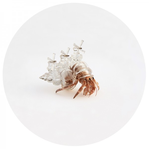 3-AKI-INOMATA-hermit-Crabs-600x600.jpg