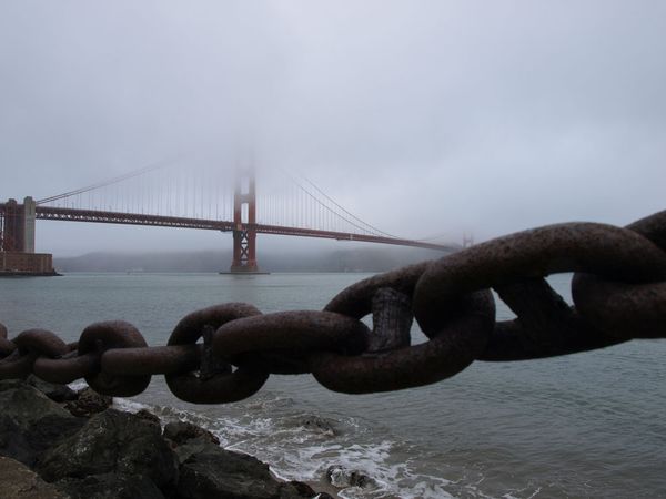 bridge-fog-california-ofl_17349_600x450.jpg