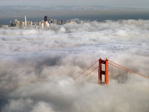 golden-gate-bridge-fog_21245_600x450.jpg