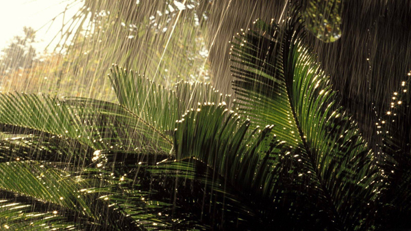 monsoon-wallpaper-6922-7317-hd-wallpapers.jpg