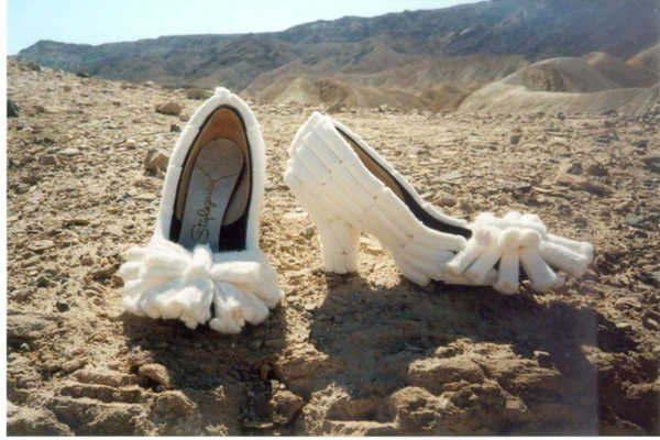 tamponshoesmohavedesert.jpg