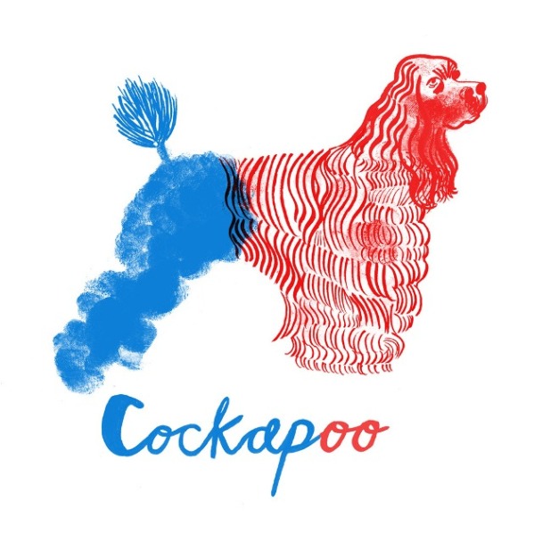 Cockapoo-lowres_1.jpg