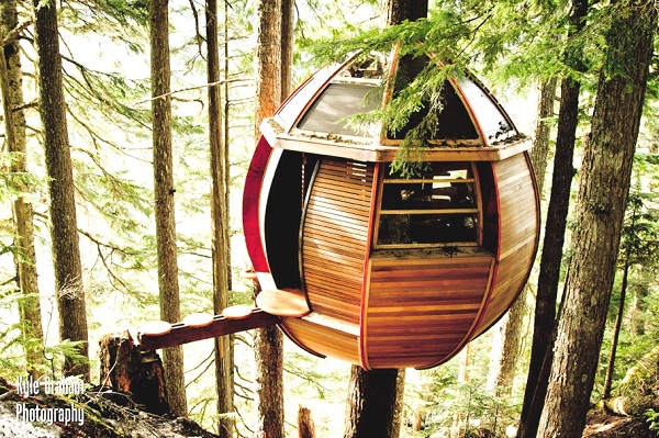 Contemporary-Treehouse-Canada-00_1.jpg