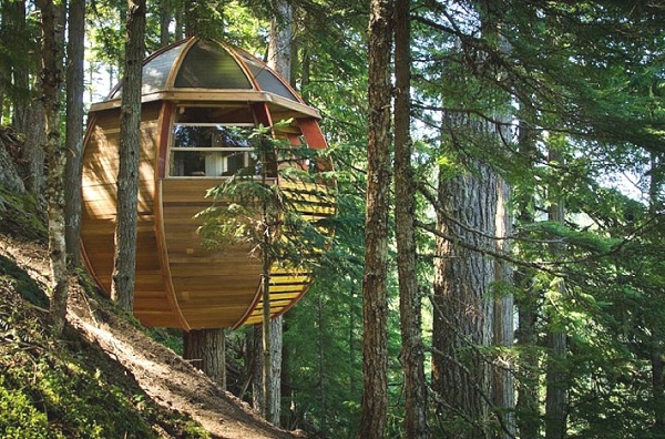 Contemporary-Treehouse-Canada-04.jpg