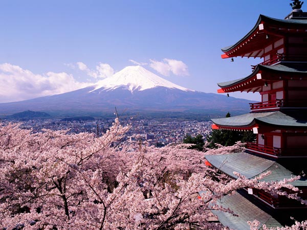 Fuji,_Japan_-_Cherry_Blossoms_and_Mount_2.jpg