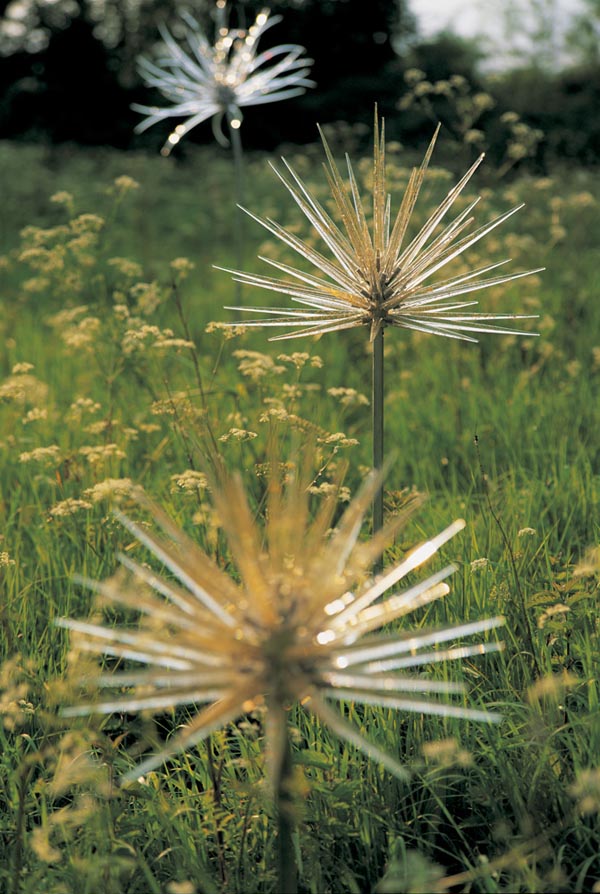 Golden Seed Heads_ Neil Wilkin 1999 photo by Guus Rijven A.jpg