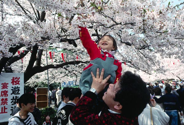 UenoParkHanami.jpg