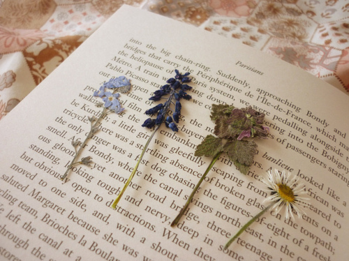 flowers-pressed-in-a-book.jpg