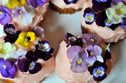 edible-flower-cupcakes_2.JPG