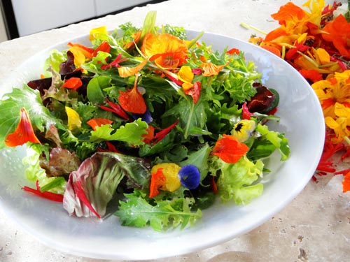 mini-chef-flower-petal-salad2.jpg