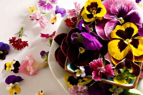 mixed-edible-flowers-chefs-garden-thumb-500x334-26127_1.jpg