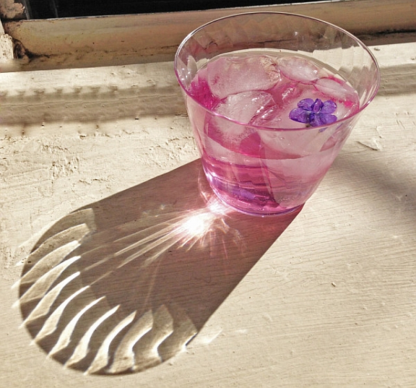 1_httpbklynlocavore.com20130426foraging-for-violets-syrup-and-bonus-cocktail violet-cocktail-1_in-sun.jpg