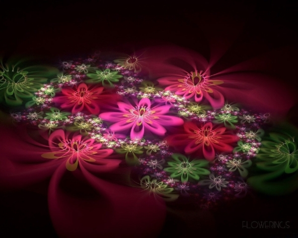 Abstraction-fractal-flowers-pink.jpg