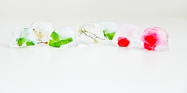 fruity-icecubes-6.jpg