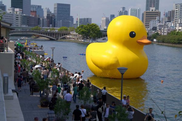 rubber-duck.jpg