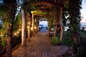 pergola1.jpg