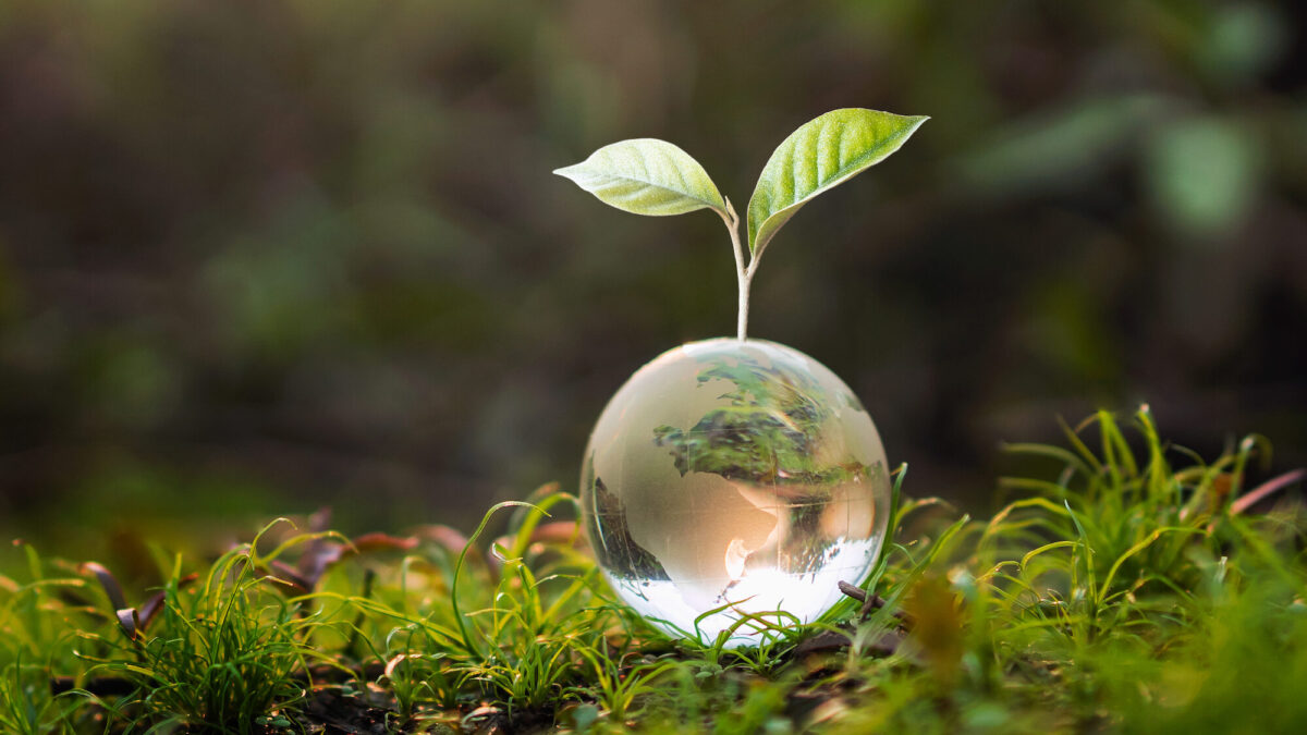 glass-globe-ball-with-tree-growing-green-nature-blur-background-e1622894863793-1200x675.jpg