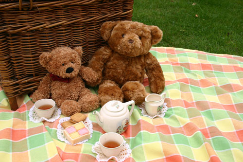 teddy-bear-picnic-day.jpg