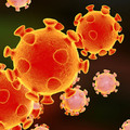 Mit mondjunk a gyereknek a koronavírusról?