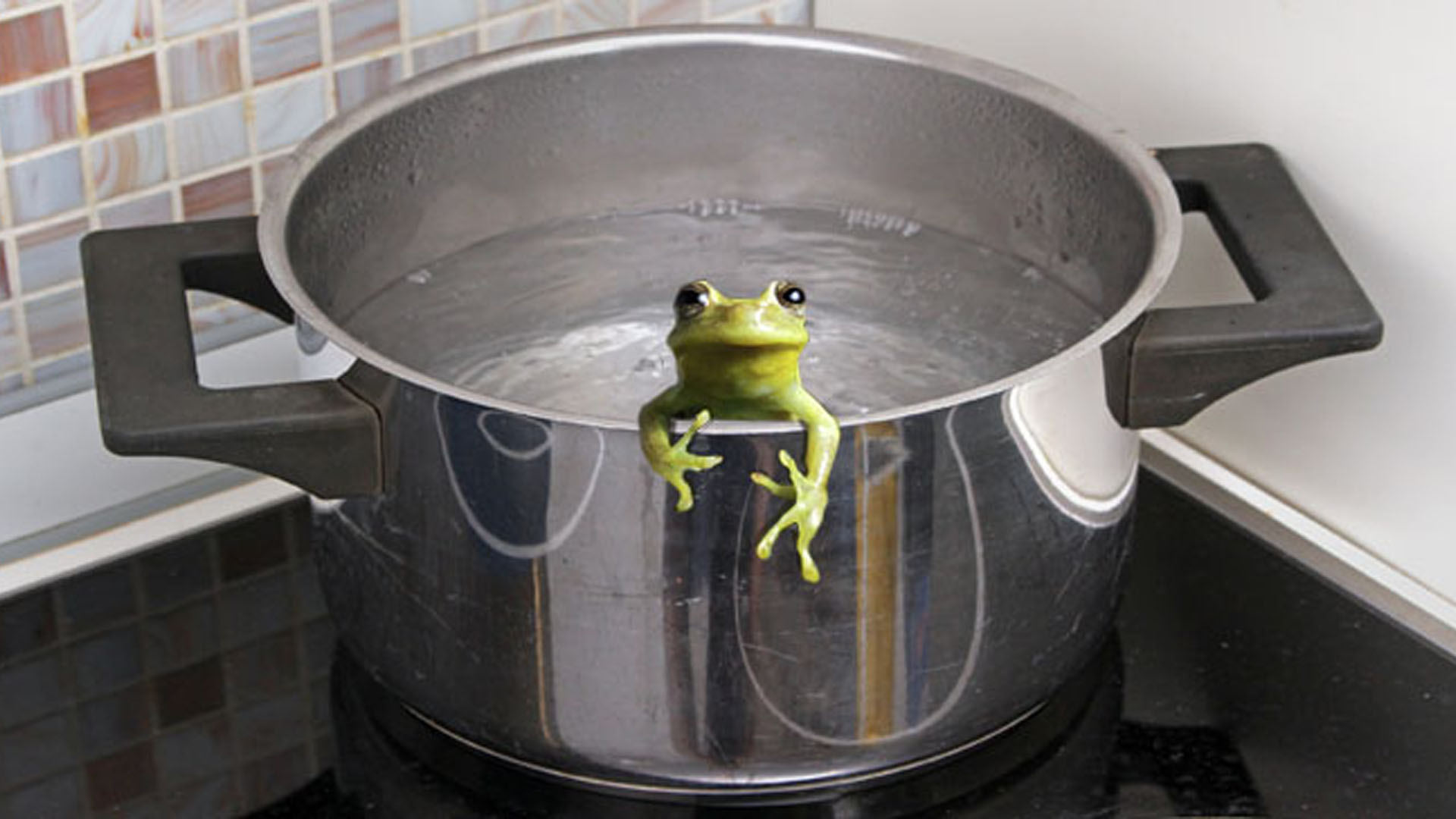 frog_boiling-pot.jpg