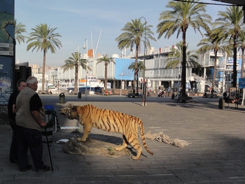 500DSC03059tigris.JPG