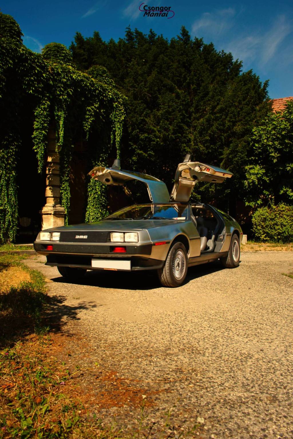 delorean4.jpg