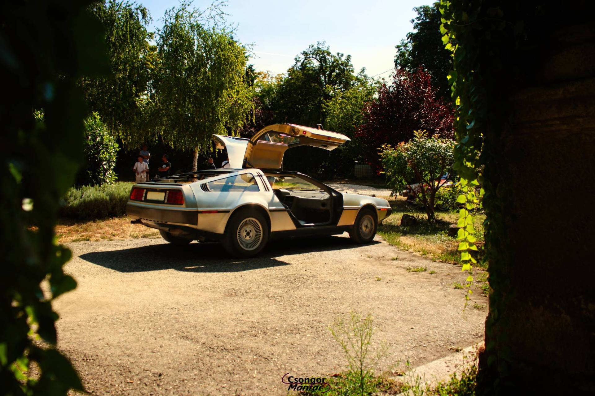 delorean5.jpg