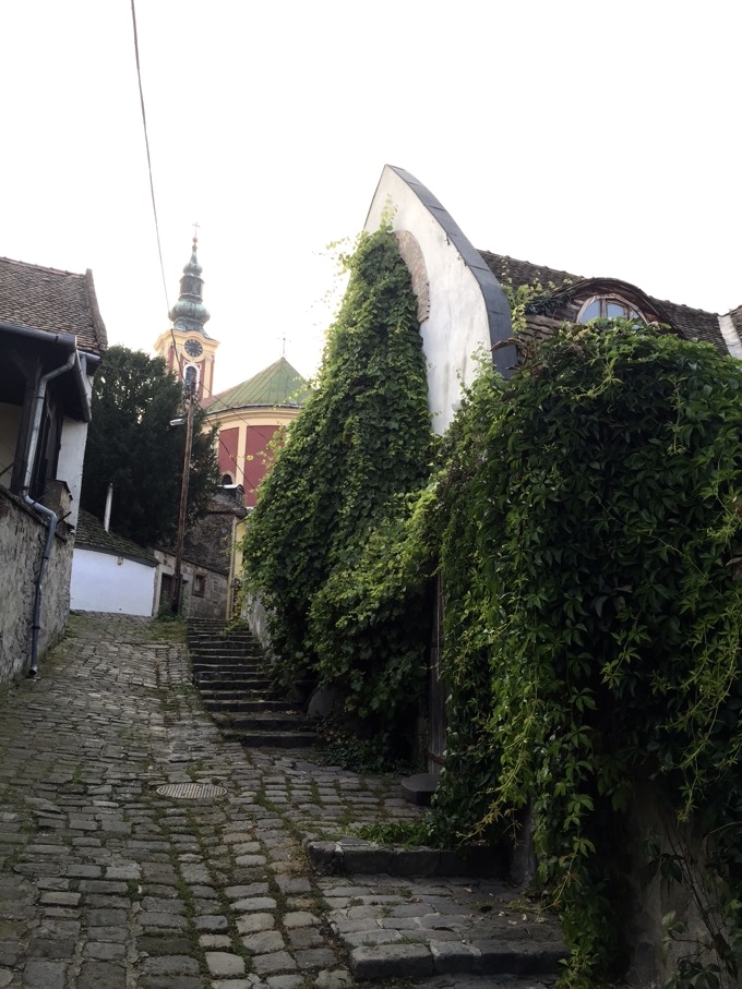 thumb_demegvennem-szentendre_1024.jpg