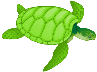 _green_sea_turtle.png
