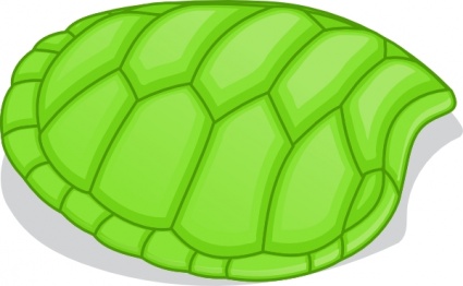 green_turtle.jpg