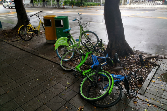 Hátrahagyott Ofo, Qile Wubi, U-Bicycle és Bluegogo kerékpárok.
