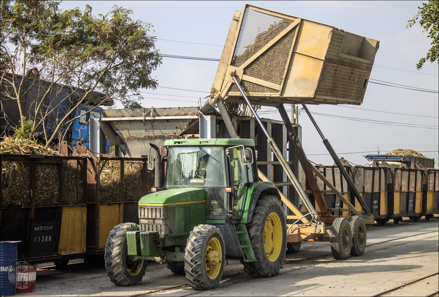 Traktor pótkocsijának (ún. infield dumping trailer) ürítése.