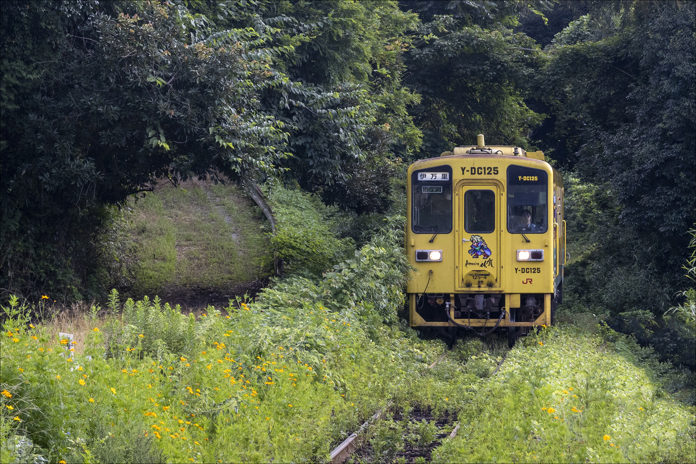 A JR Kyushu egyik Imari felé tartó KiHa 125-ös sorozatú dízel motorkocsija érkezik Hizen-Kubo megállóhoz Karatsu felől.