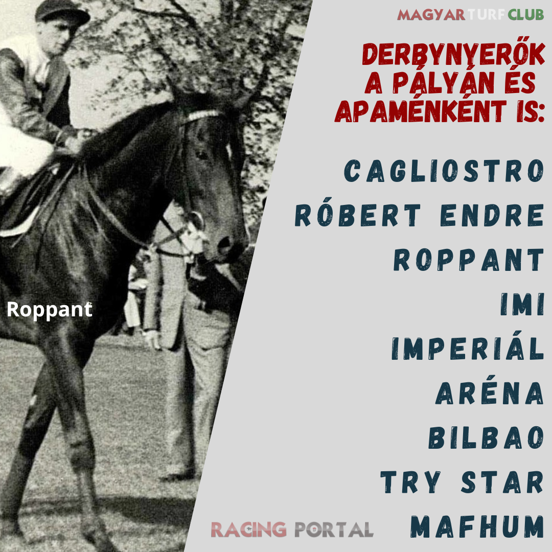 derbynyerok_apamenkent_is_20250113_075917_0000.png