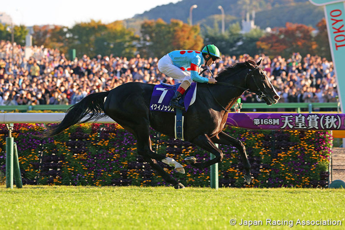 Utolsó feladat: Japan Cup