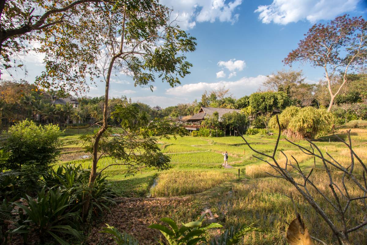 Kilátás a Rice Terrace Pavilionból