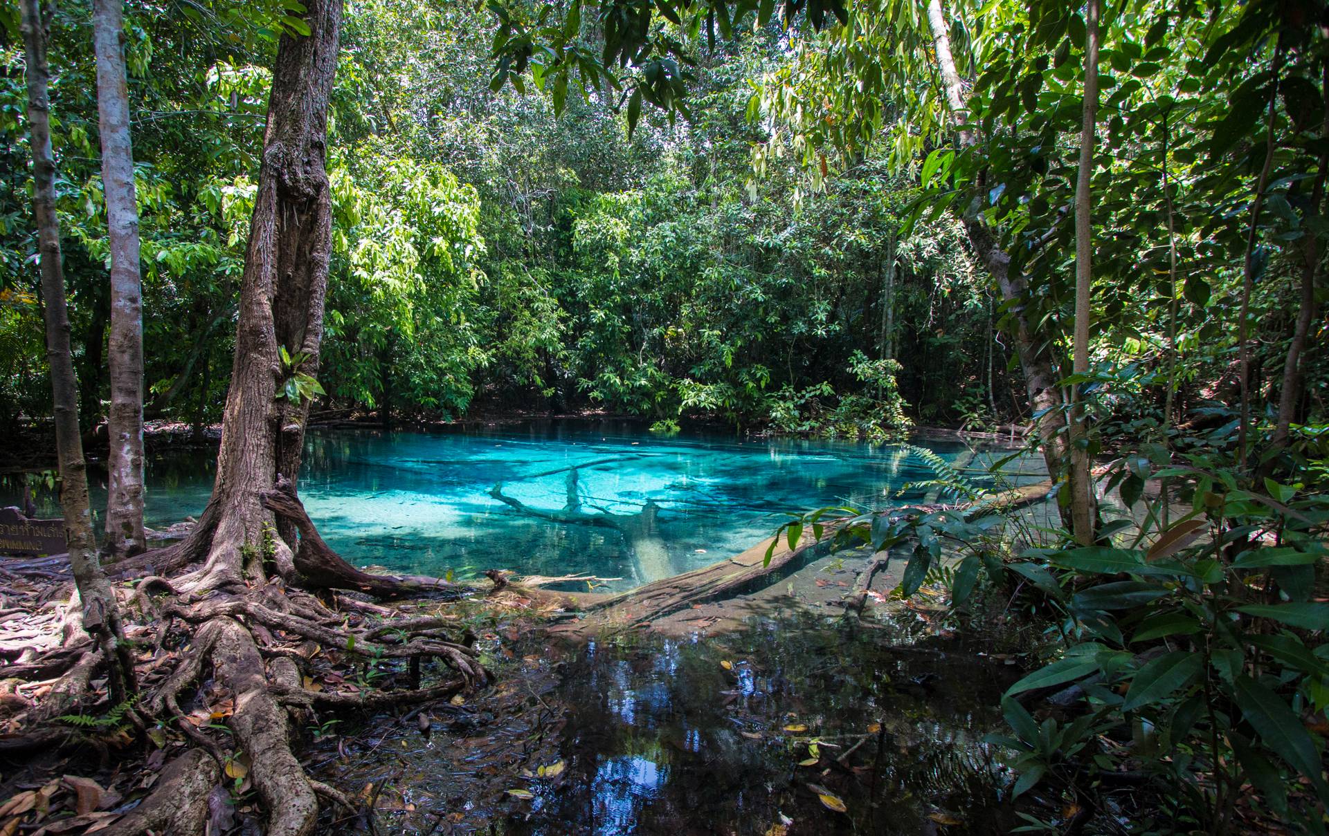 Az Emerald Pool, a legszebb látnivalója a túrának